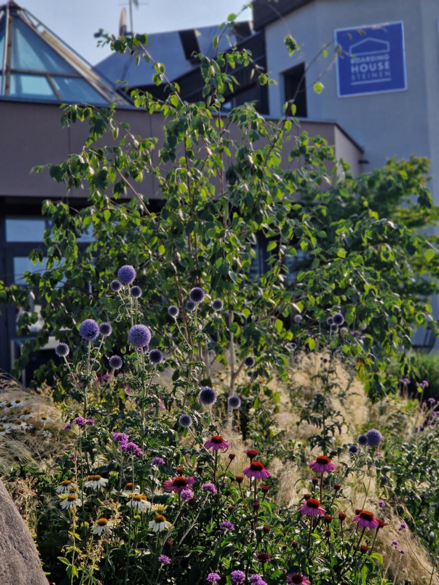 Apartmán Boardinghouse Steinen Steinen  Exteriér fotografie
